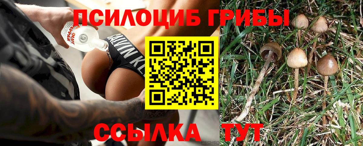 Псилоцибиновые грибы Psilocybine cubensis  Вход с VPN  Оренбург 